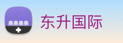 东升国际 logo